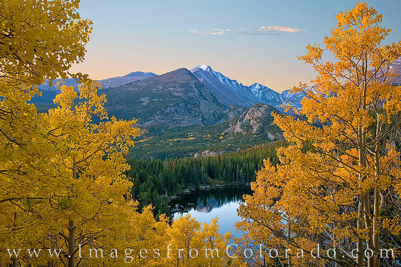 Longs Peak from Bear Lake in Fall 1 On a cool September morning, Longs peak rises into the chilly fall morning as seen through a family of golden aspen trees. Bear...