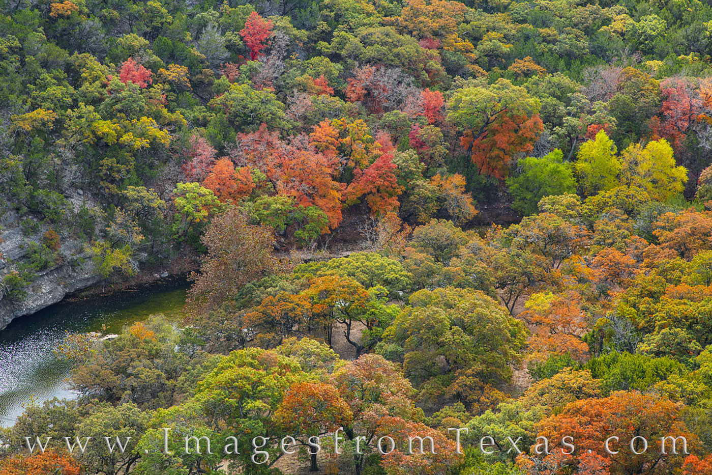 lost maples, colors, fall colors, autumn, november, lost maples prints, beauty, maples
