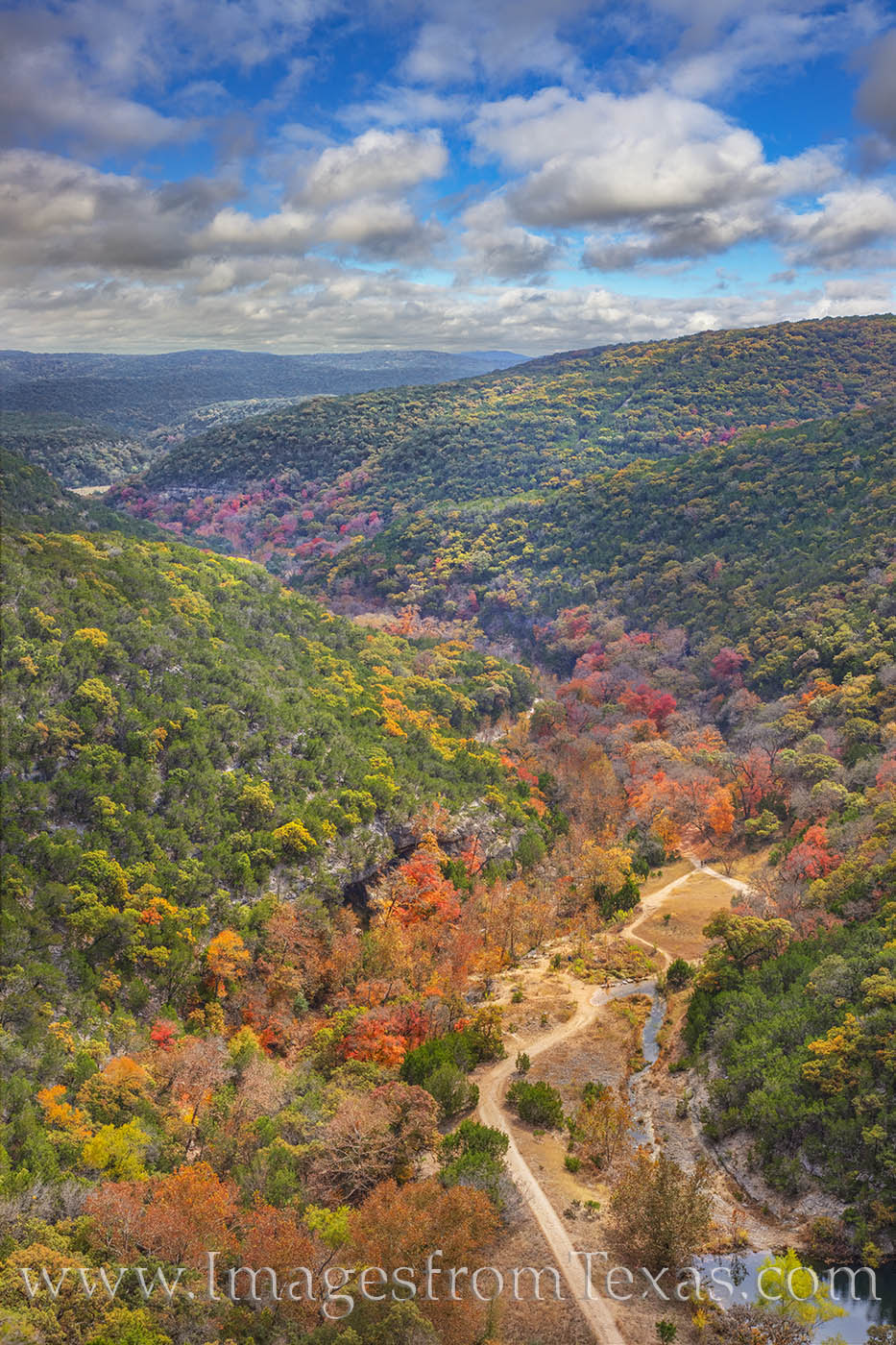 Lost Maples in Autumn from the East Trail 111-1 From high up on the edge of the East Trail in Lost Maples, this view shows the the colorful trees lining the lower portion of...