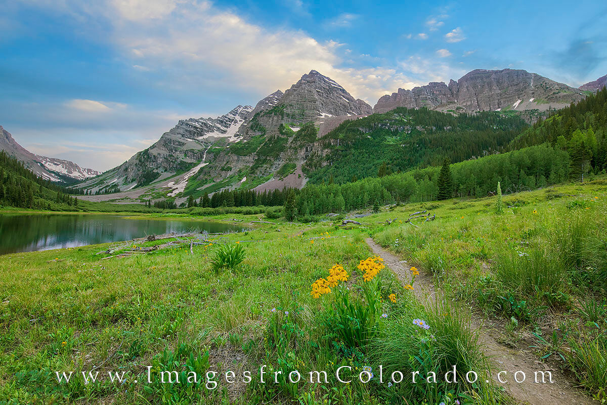 Maroon Bells Wildflowers from Crater Lake Summer Evening 1