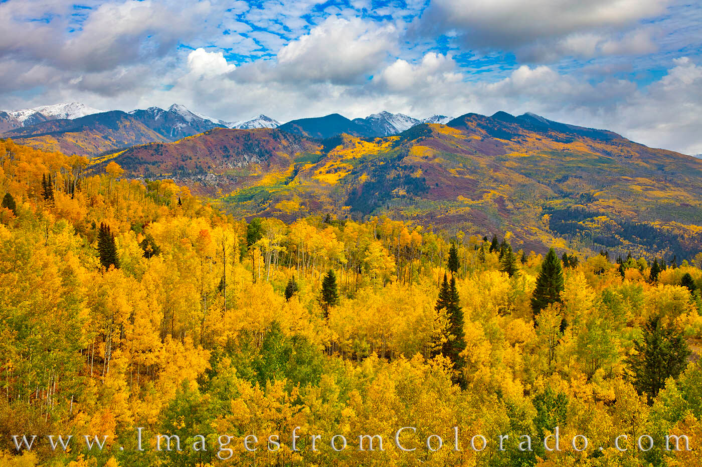 McClure Pass in Autumn 101-1 From high up on McClure Pass (8,755’), the aspen in Autumn show their brilliant gold and orange colors. Highway 133 runs up...