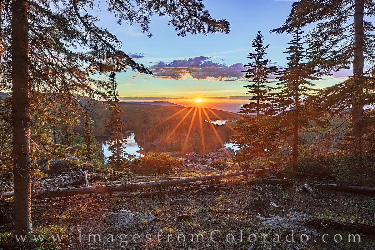 Mesa Lake Sunset through the Pine 2 Through the pine trees high above Mesa Lake, this photograph shows the view looking across the the Mesa Lakes area and into the...