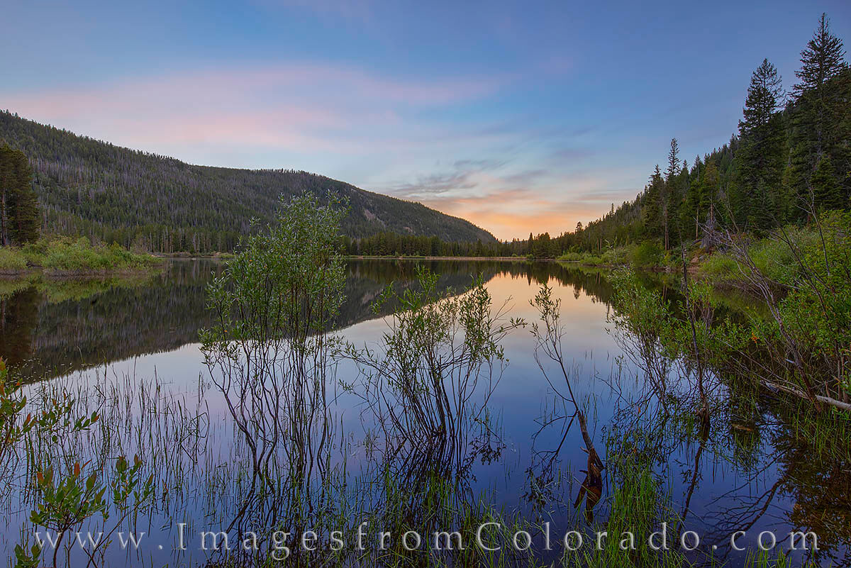 Monarch Lake Sunrise 711-1 Willow trees climb out of the still waters of Monarch Lake on a beautiful summer morning.