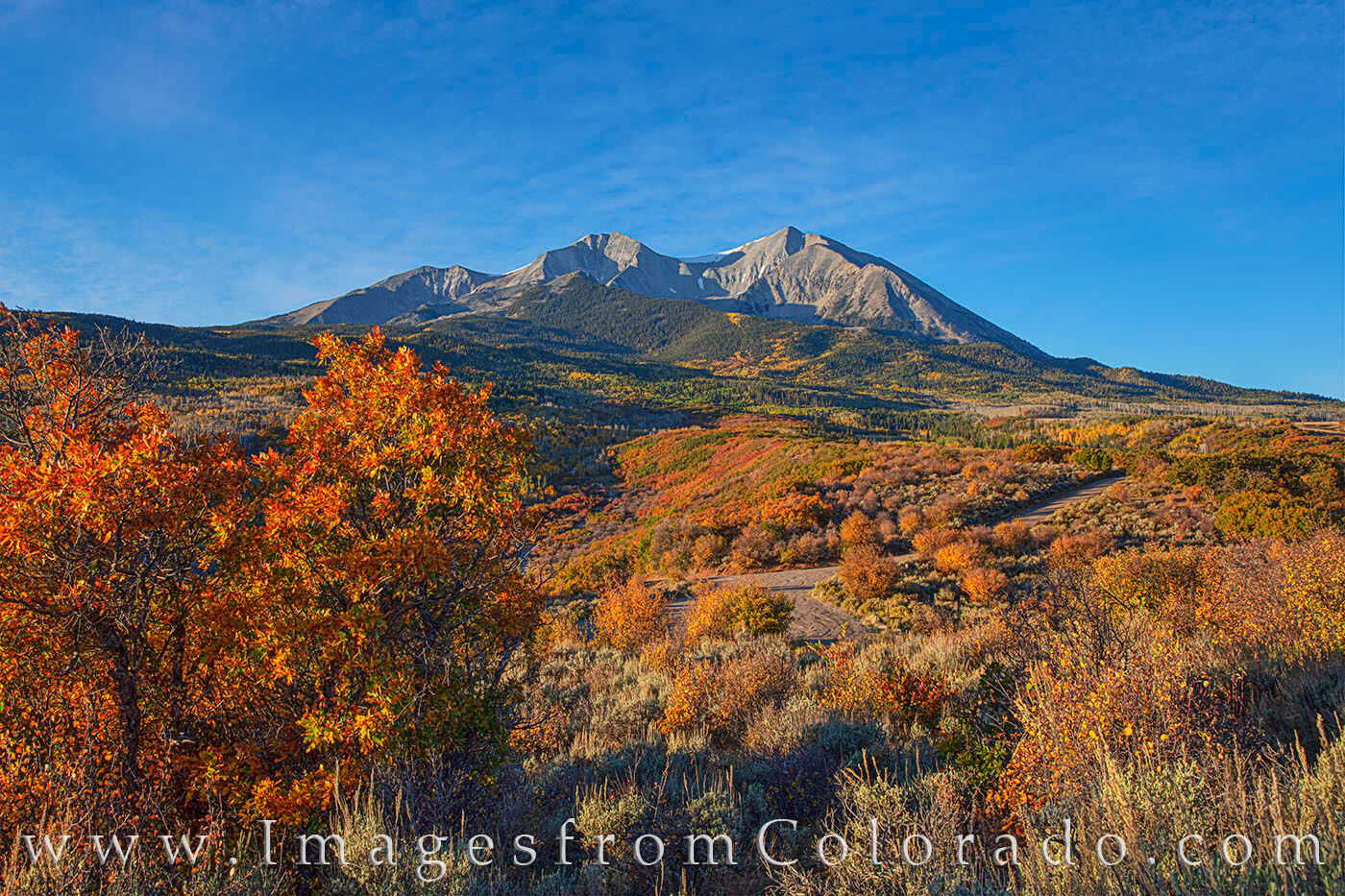 Mount Sopris Autumn Morning 103-1 The scrub, oak and aspen put on a colorful show at the base of Mount Sopris (12,966’) between Carbondale and Aspen, Colorado...