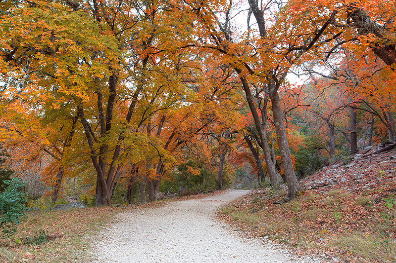 texas autumn colors,lost maples state park,texas hill country,texas landscapes