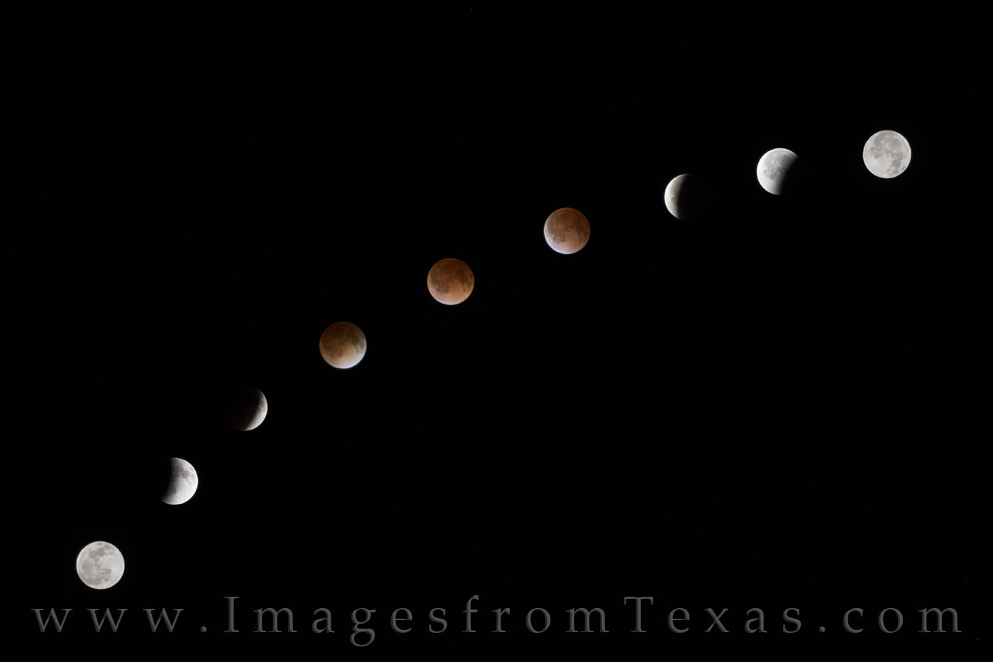 blood moon, blood moon images, blood moon austin, images from austin, images of austin, texas images, texas pictures, texas photos, blood moon pictures, blood moon phases, blood moon photos, blood moo