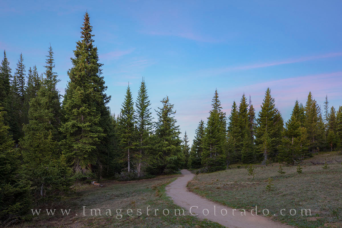 RMNP Trail into the Forest 1 Near Lake Irene in Rocky Mountain National Park, one of my favorite trails leads around this small lake and curves into the forest...