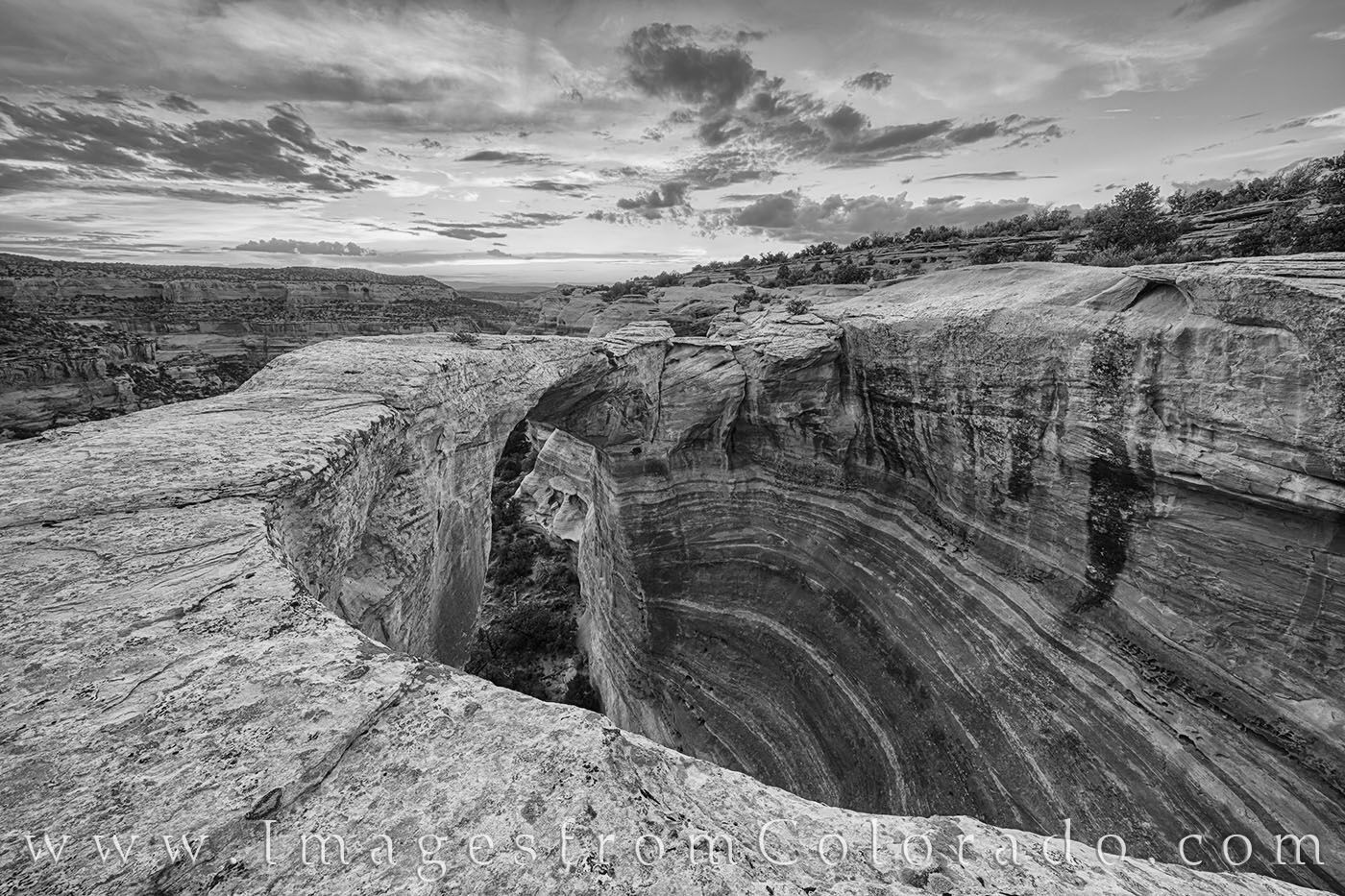 Rattlesnake Canyon in Black and White 1 This black and white photograph from Rattlesnake Canyon just west of Grand Junction shows off the curves and textures of the...