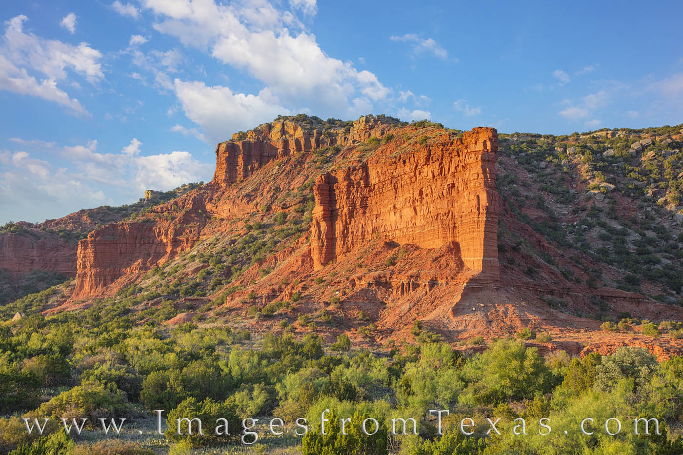 South Prong Overlook 107-1 From the South Prong Overlook in Caprock Canyons State Park, this is the view that greets visitors and hikers exploring this...