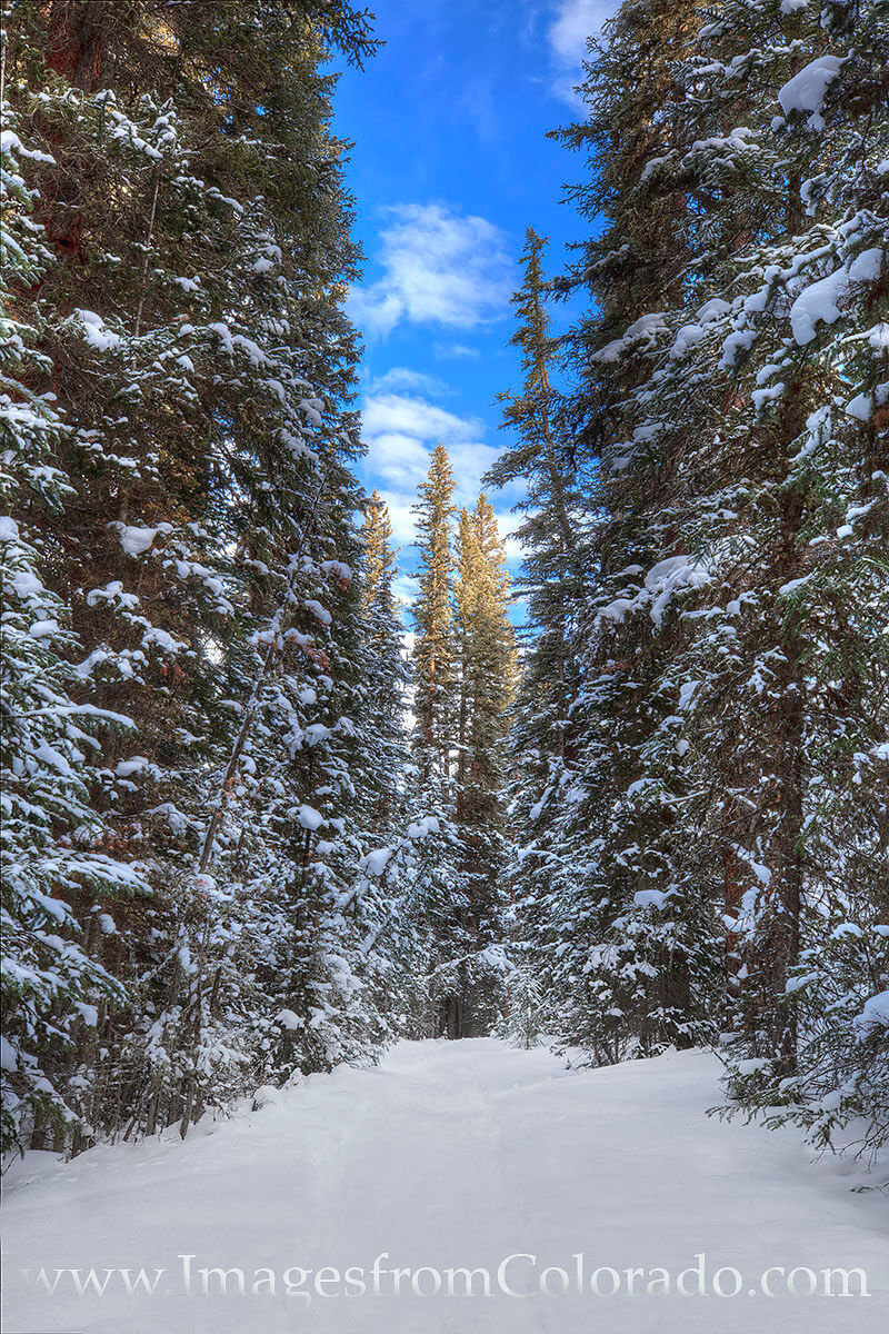 St. Louis Creek Trail in Snow 1 A fresh overnight snow turned the St. Louis Trail into a winter wonderland. Miles and miles of fresh powder turned this snowshoe...