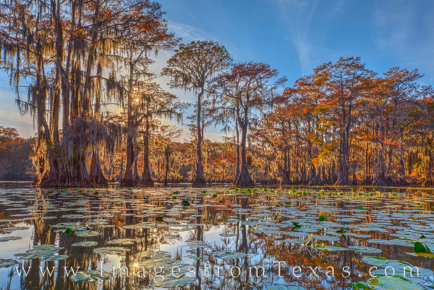 Sunlight through Cypress on Mill Pond 115-1 A beautiful sky and orange leaves usher in end of a beautiful Autumn day in Mill Lake (Caddo Lake State Park).