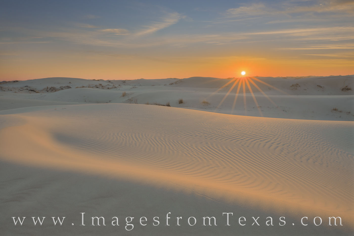 sand dunes, sandhills state park, sunrise, monahans, sand, west Texas
