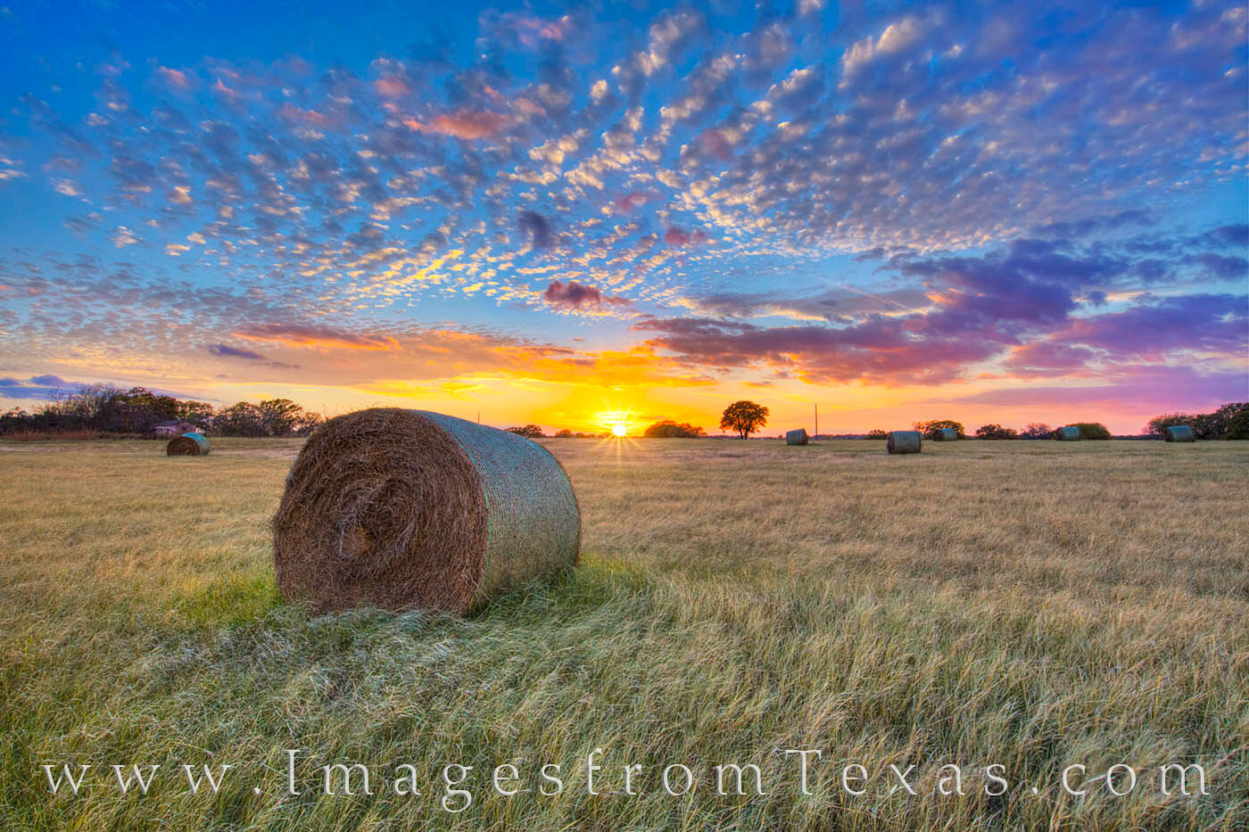 texas hay bales,bales of hay,texas sunset,hay bale images,texas landscapes