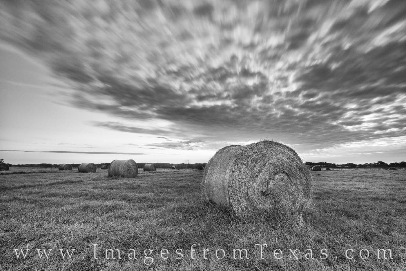Texas Hay Bales at Sunrise in Black and White 1 This black and white image shows morning clouds as they slide across an early sky. Hay bales, rolled and ready for the winter...