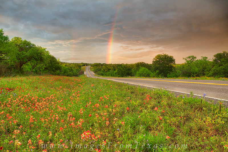 Hill Country Wildflowers and a Rainbow 2 Looking east towards Llano along Highway 29 in the Texas Hill Country, a rainbow appears after a strong storms passed over these...