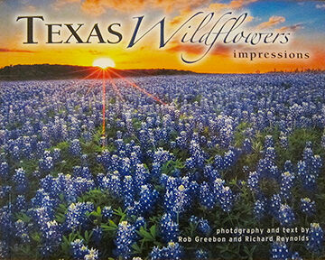 Texas Wildflowers Impressions