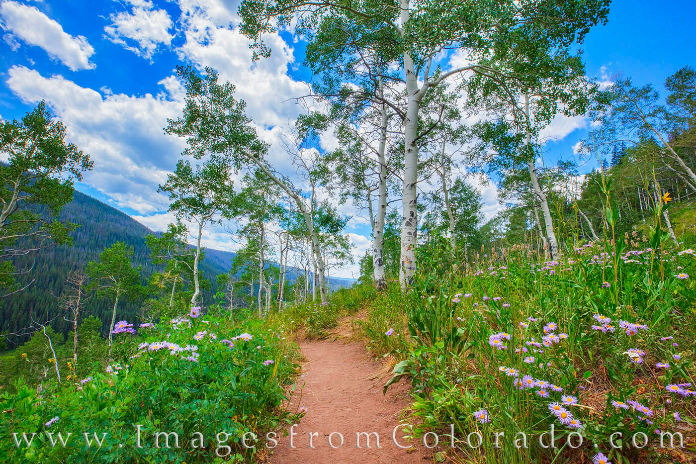 Upper Piney Lake Trail, Vail 1 The Upper Piney Lake Trail starts out by Upper Piney Lake, but soon leads you trhough beautiful Aspen. In the summer, the trail...