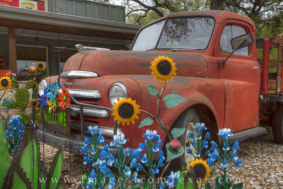 Wimberley Bluebonnets and an Old Dodge Truck 1 Each season, the Cackleberry Mercantile in Wimberley, Texas, has fun and unique decorations outside their quaint store. During...